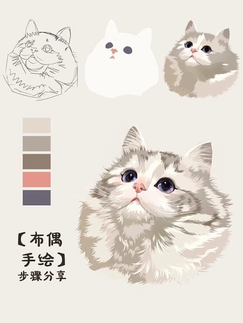 布偶猫手绘