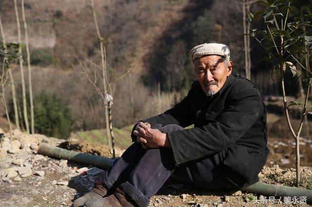 85岁老人只要天气好就上山 与黄土下的老伴隔世对话