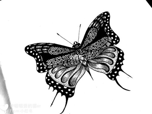 黑白装饰画蝴蝶