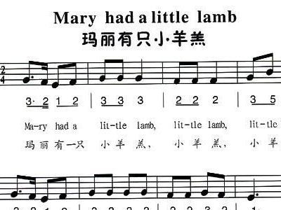 玛丽有只小羊羔c调伴奏玛丽有只小羊羔伴奏