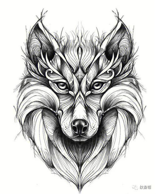 狼头手稿纹身