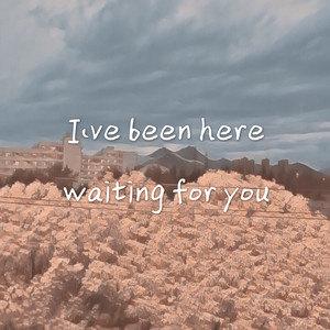 i've been here waiting for you