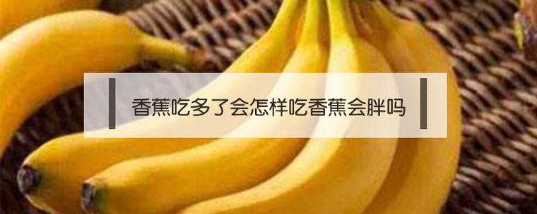 香蕉吃多了也会胖,如果大量食用香蕉又不加以运动,非常容易导致发胖.
