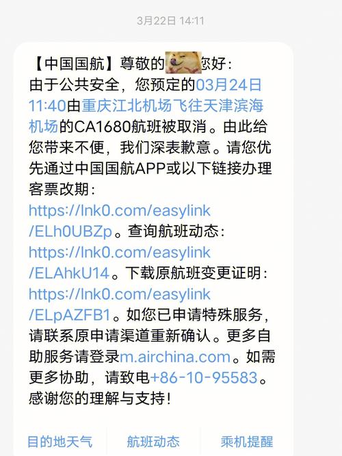 真的不想坐12小时的高铁去#中国国航  #飞机取消  #航班取消