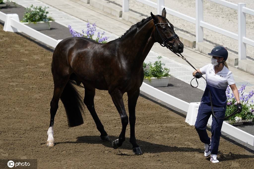 2020东京奥运会马术盛装舞步第一次马检