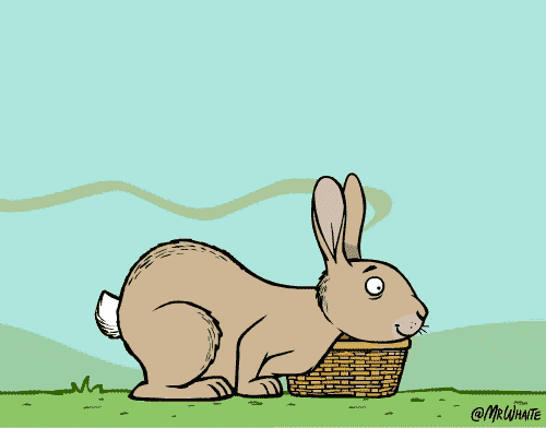 你知道兔子为什么要吃掉自己的粪便吗?