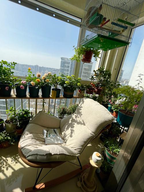 温柔了时光在阳台花园摇摇椅上看书晒太阳