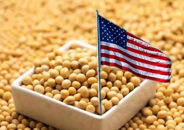美国大豆产量每亩