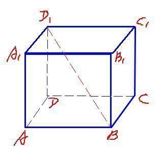 正方体的体对角线是什么啊,有什么性质啊