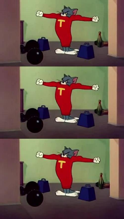 汤姆猫健身图片大全