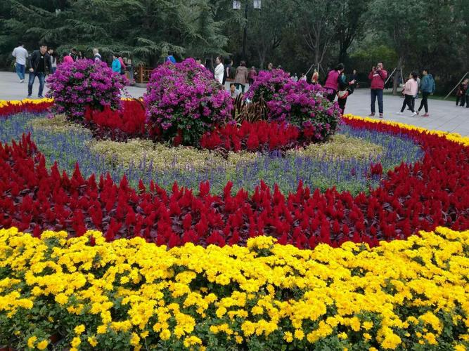 节日公园里的各种花姹紫嫣红,五彩缤纷.
