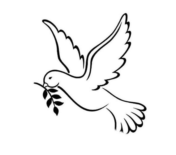 和平鸽怎么画 象征和平的和平鸽简笔画作品