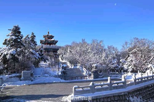 吉林市北山秀雪色引八方游客游玩摄影