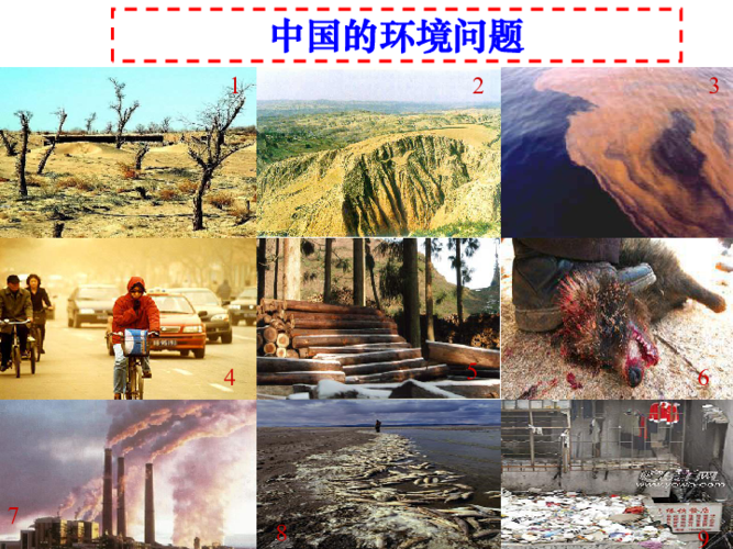 中国改善环境的项目