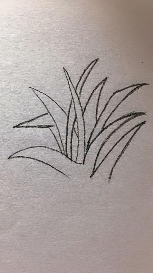 今天教大家画个小草,特别简单