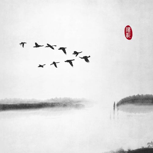 飞鸟静谧山水古风禅意水墨画安静中式中国风古风插画
