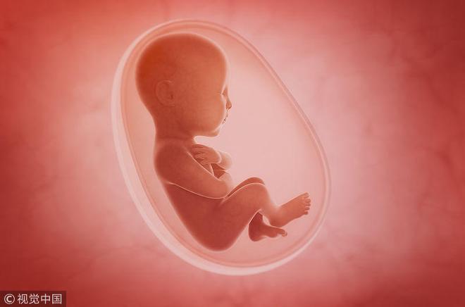 怀孕2个月胎儿图片为什么不一样