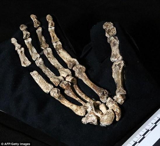 南非发现新人种遗骸 或改变人类文明