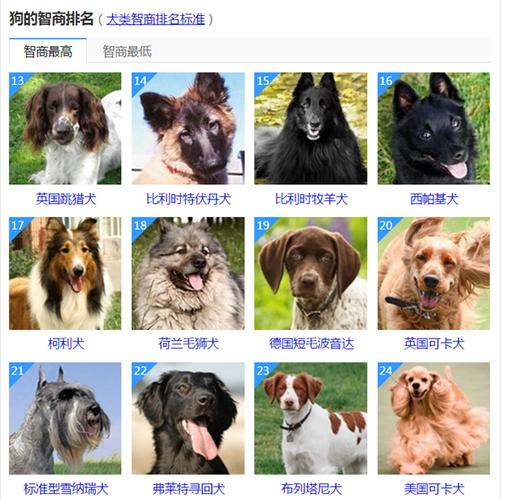 世界上最大的狗排名前十名有哪些(2)