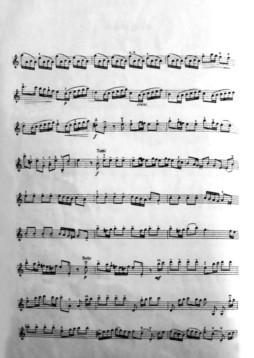 《a小调协奏曲第一乐章(小提琴)》曲谱——维伐尔第