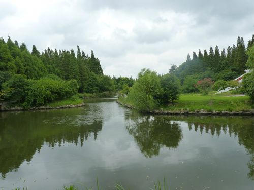 2012-8-崇明岛东平国家森林公园图片997,上海市旅游景点,风景名胜
