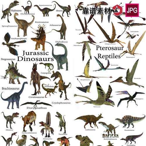 远古恐龙品种种类名称标注动物插画高清图片设计素材