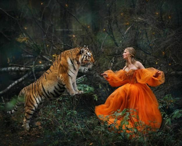俄罗斯摄影师冰天雪地,拍摄60张美女与野兽,熊和老虎是标配