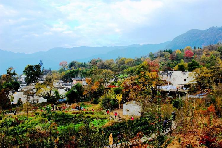 塔川徽州的一个小村庄每年秋天摄影爱好者必去的地方