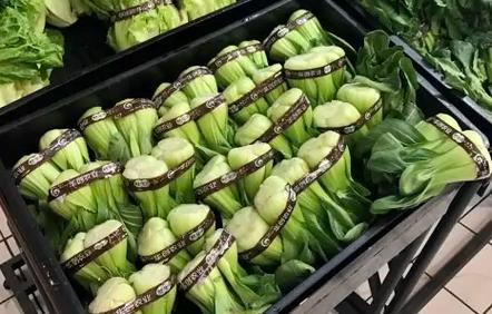 超市里蔬菜十大保鲜法1
