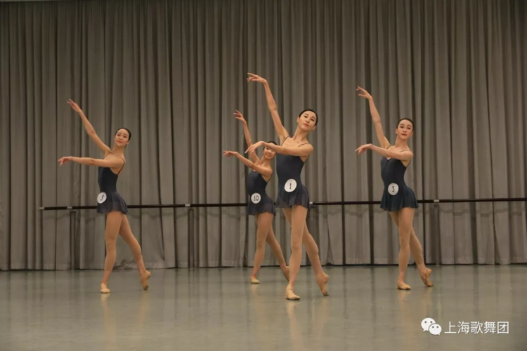 直播预告 | 上海歌舞团舞蹈演员业务考核 !
