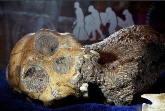 南非现新人种遗骸 南非人类考古学家发现疑似新人种遗骸