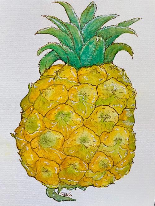 其实很久就想画菠萝了,毕竟是自己爱吃的水果之一,但,因为想画的清单