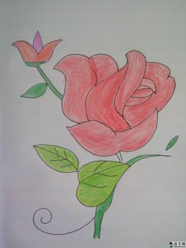 一支玫瑰花,漂亮的花儿童画