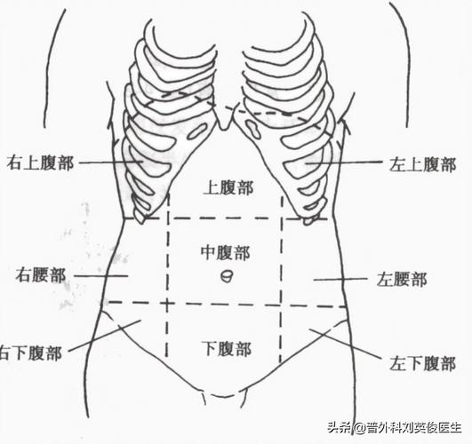 肚脐眼左边疼什么原因(出现左侧腹部疼) - 百百科