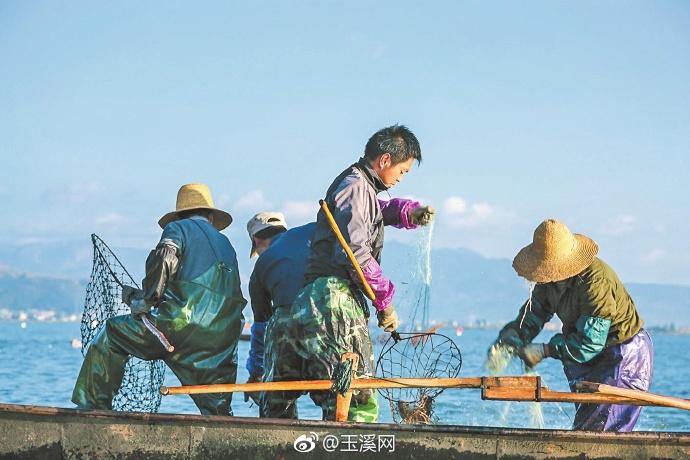 【江川开渔节来啦】中国·云南·江川第十三届开渔节(高原湖泊水产品