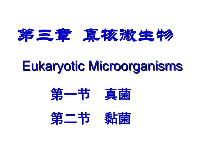 第三章真核微生物 eukaryotic microorganisms 第一节真菌 第二节