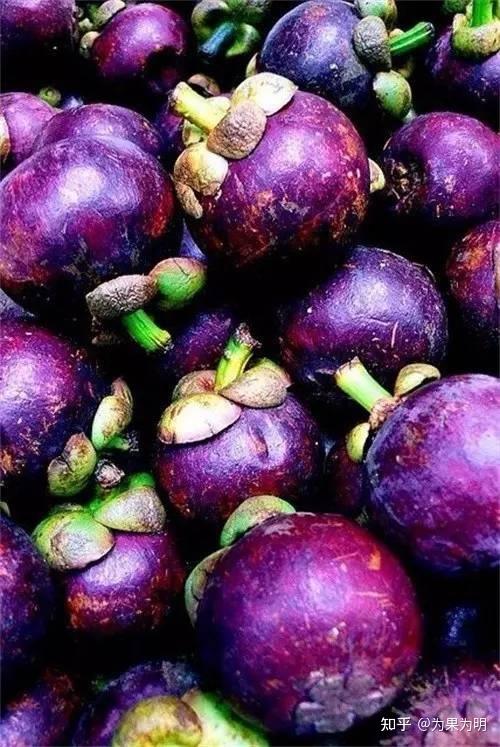 紫色水果盘