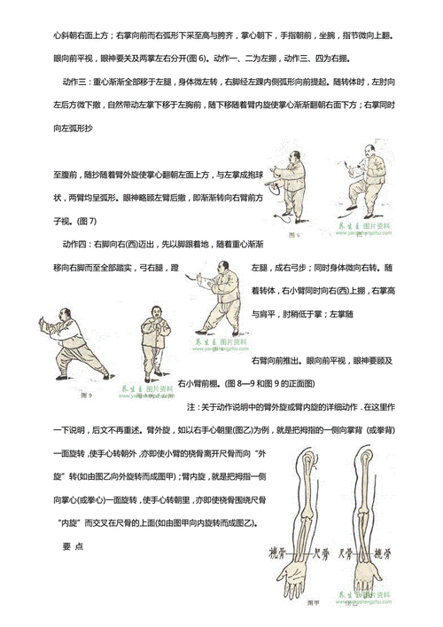 杨式85式太极拳图解(完整版).pdf