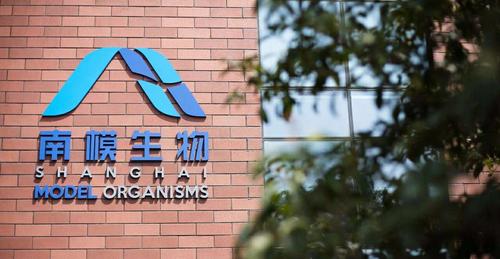 上海南方模式生物科技股份有限公司招聘简章