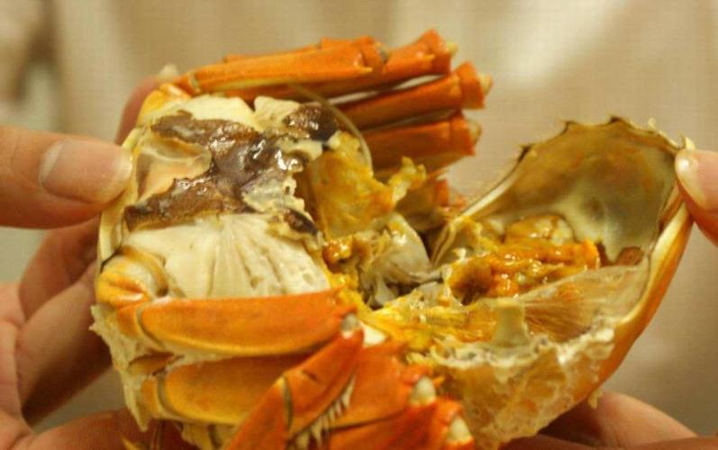 当天刚死的螃蟹能不能吃?哪些部位是不能吃的,注意事项需了解
