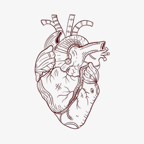 教你画出3d写实的心脏画法技巧黑白简笔画手部心脏玫瑰破碎拿捏简单