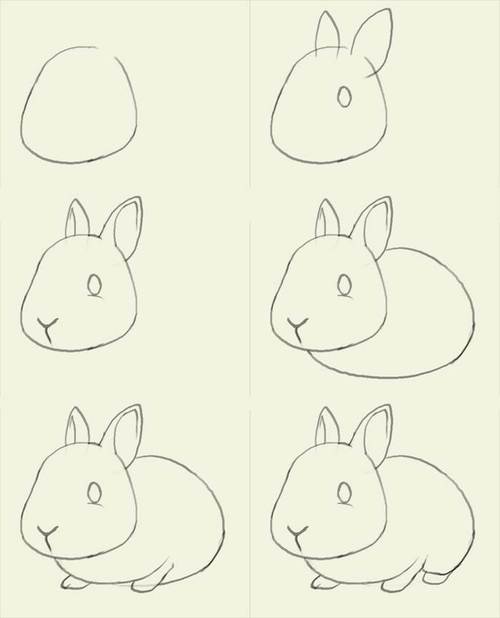 简笔画善良的兔子
