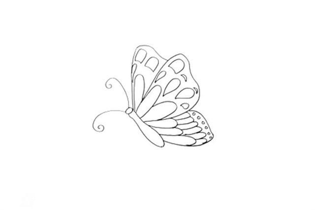 蝴蝶的简笔画简单漂亮最简单的蝴蝶简笔画