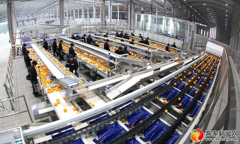 农夫山泉信丰工厂竣工投产 年销售将达4.5亿元