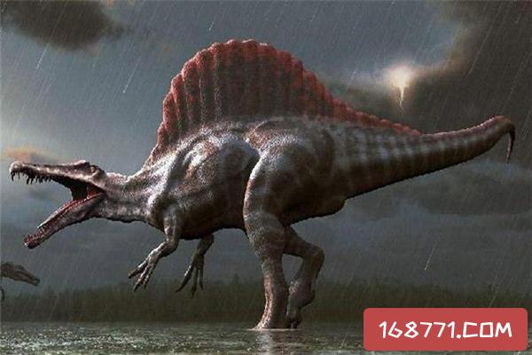 首页 环球见闻   在地球上最初存在生命的时候,一段时间内恐龙是这个