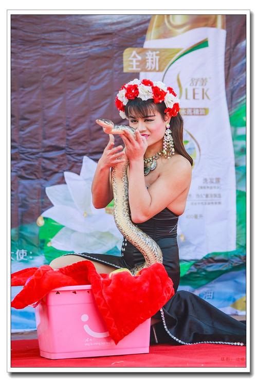 街头杂耍美女玩蛇