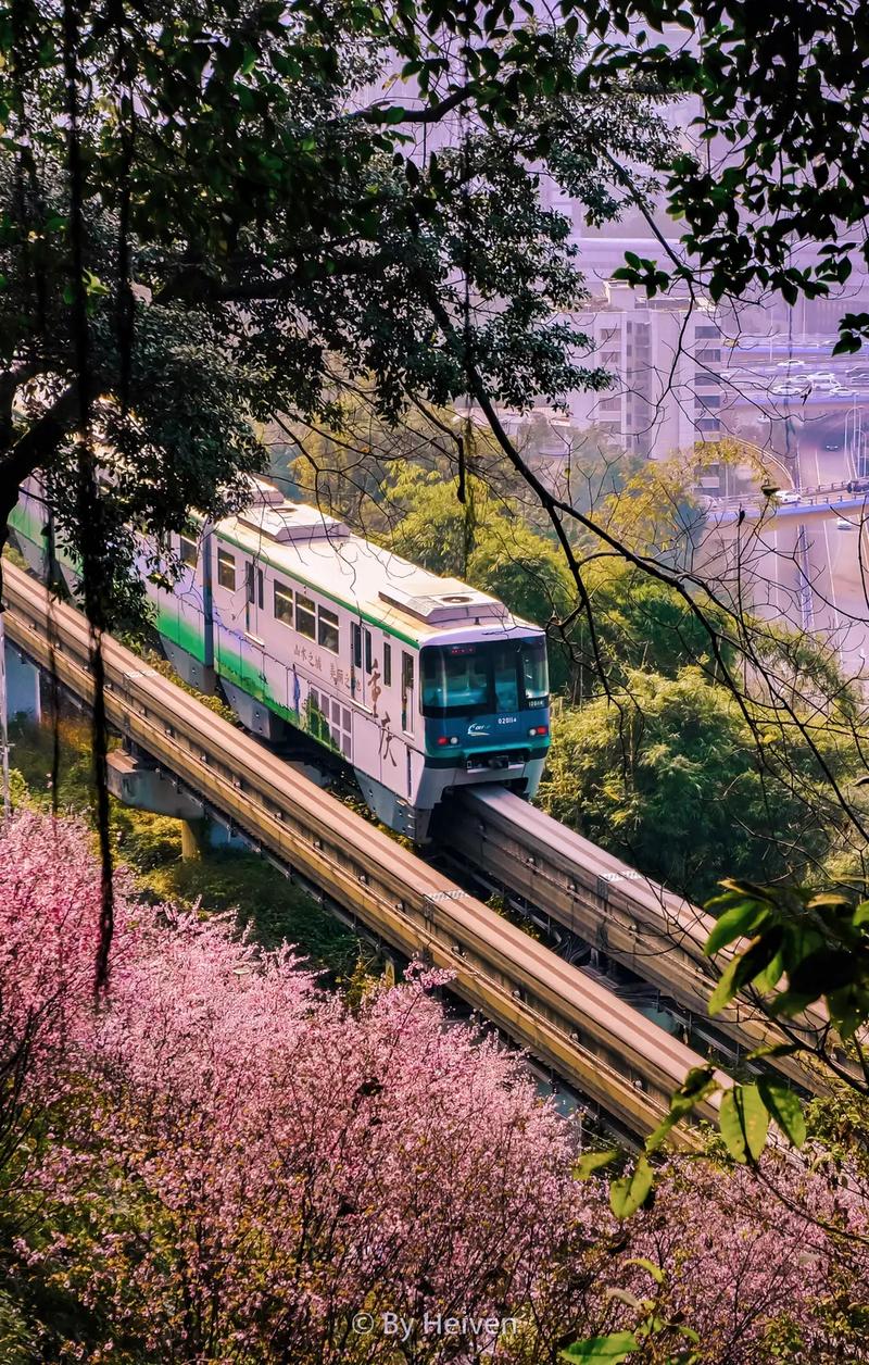 开往春天的列车,重庆独有的城市风景,轻轨穿梭于高楼,飞跃两江 - 抖音