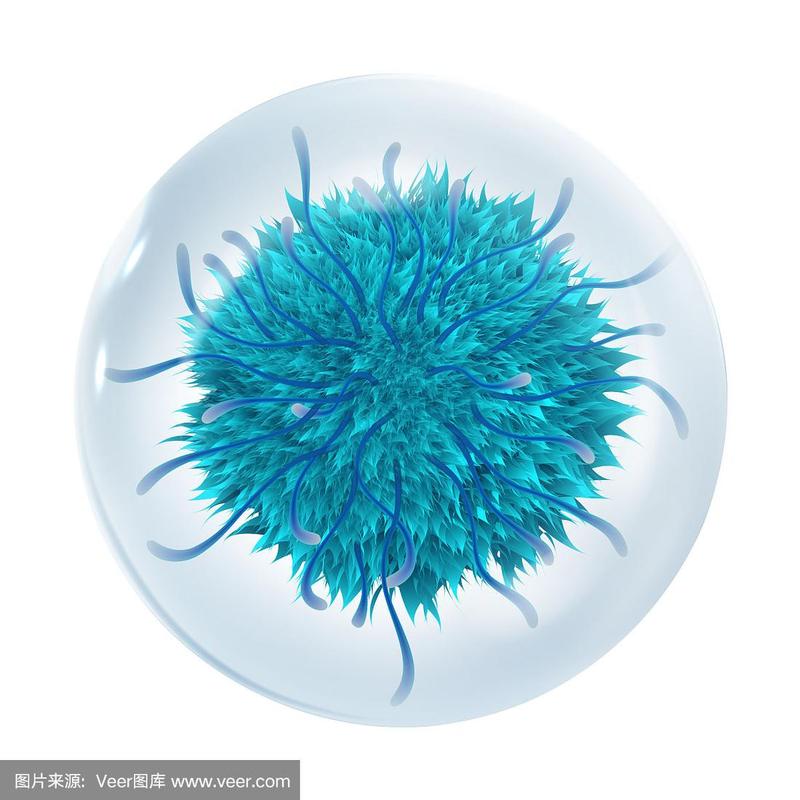 病毒细菌细胞呈球形