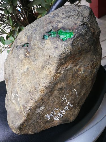26公斤老坑莫湾基全蒙翡翠原石,黑蟒一条直穿,开出了冰阳绿!