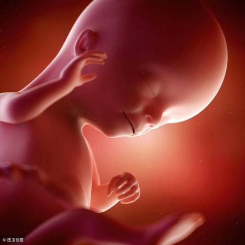 孕18周胎儿真实图大小